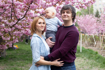 Fototapeta premium young parents play with adorable little son in park with Sakura Cherry blossom tree. Happy mother and child.