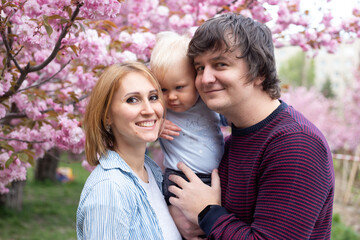 Fototapeta premium parents holding their little baby son boy child under blossoming Sakura Cherry trees with falling pink petals and beautiful flowers
