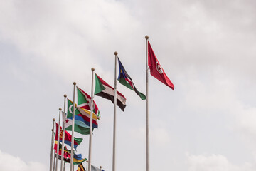 Flag of several nations seen at a park in  Lagos, NIGERIA, March 8 2022. Women from different NGOs hold a rally to mark International Women Day in Nigeria - obrazy, fototapety, plakaty