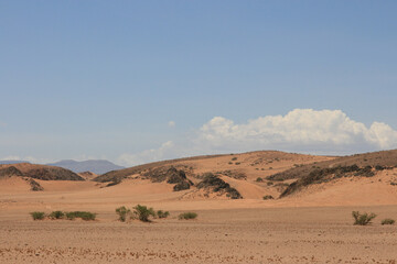 Fototapeta na wymiar Arid landscape in Namibia