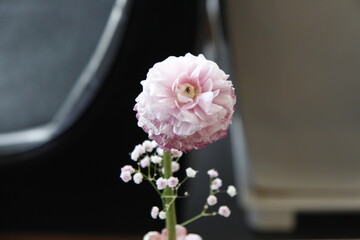 Pictures taken in Korea, republic of