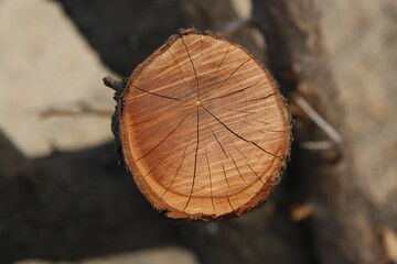 Pictures taken in Korea, republic of