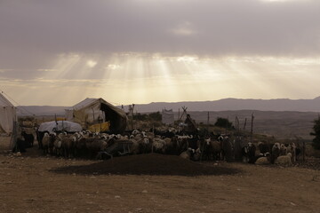 sunset in the village