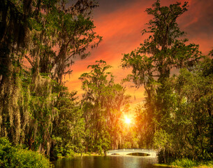 Beautiful sunset in the swamp land and trees of South Carolina - obrazy, fototapety, plakaty
