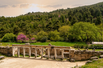 Fototapeta premium The theatre of Amphiareion of Oropos in Greece. 