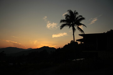 Obraz premium sunset in the palm