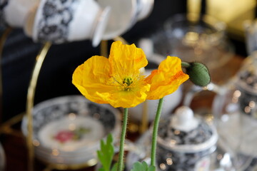 Pictures taken in Korea Republic of