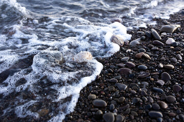  Seashore with pebbles and stones in the evening at sunset