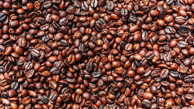 freshly roasted coffee beans background and texture roasted coffee beans © NARONG