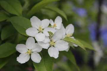 Pictures taken in Korea, Republic of III