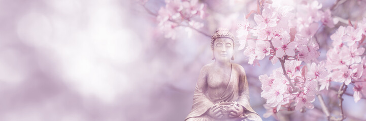 flowering cherry tree around buddha statue on sunny blurred spring background, idyllic nature scene...