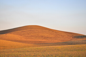 Fototapeta na wymiar Hills panorama in Matera