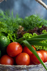 Fresh vegetables for salad in a basket. Tomatoes and cucumbers with zucchini and cabbage with dill. Spring harvest, benefits and vitamins. On a dark background.