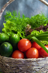 Fresh vegetables for salad in a basket. Tomatoes and cucumbers with zucchini and cabbage with dill. Spring harvest, benefits and vitamins. On a dark background.