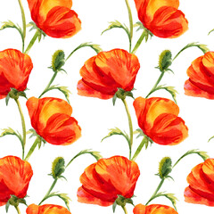 Seamless pattern with red summer flowers and leaves on white background, watercolour poppy, hand drawn sketch