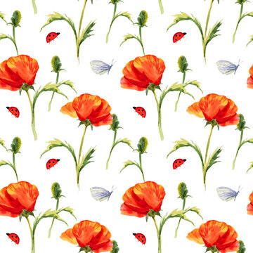 Seamless pattern with red summer flowers and leaves on white background, watercolour poppy, butterfly, hand drawn sketch