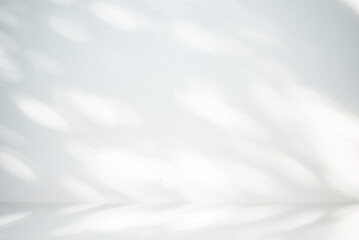 Obraz premium Abstract gray and white backgrounds , shadow background with copy space, display products ,room, interior