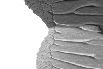 blue purple red yellow abstract acrylic painting color texture on white paper background by using rorschach inkblot method