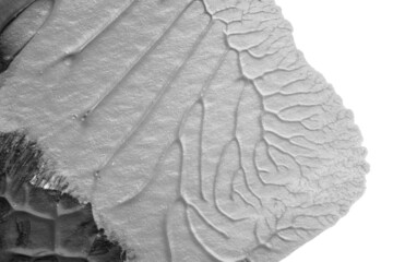 blue purple red yellow abstract acrylic painting color texture on white paper background by using rorschach inkblot method