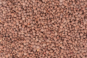 Dry Organic Brown Lentils against on white background Healthly food Legumes