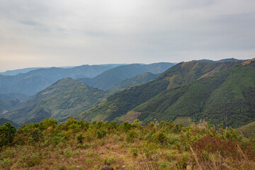 mountain valley covered with forest and white mists at morning from flat angle