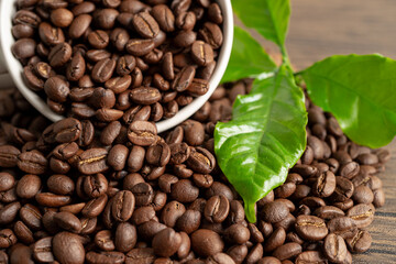 Coffee bean medium roasted with leaf in fresh morning.