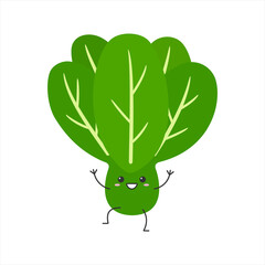 Lettuce leaves green salad cute character cartoon greeting smiling face happy joy emotions vector illustration.