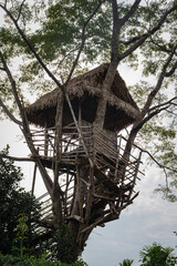 isolated tree house at tree top with flat sky at morning