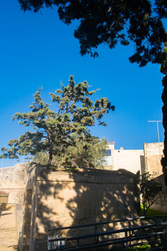 ruins of the castle