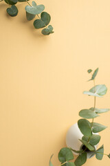 Top view vertical photo of ceramic vase with eucalyptus on isolated pastel orange background with...