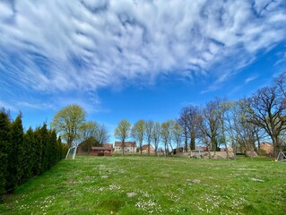wiejski pejzaż, z zieloną trawą, niebieskim niebem i stokrotkami na trawniku. © malgo_walko