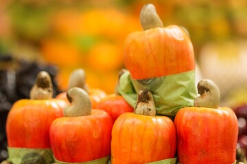 Caju fruto do cajueiro. Nome cientifico Anacardium occidentale. Porém, na verdade, trata-se de um...