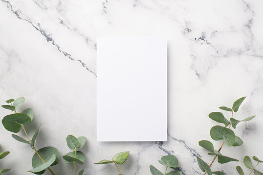 Business concept. Top view photo of paper sheet and eucalyptus branches on white marble background with empty space