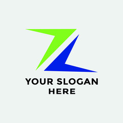 Professional logo design