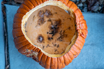 Moldy old pumpkin after being left out in the cold night of Halloween. 