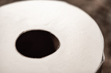 selective focus on the edge sheet of a roll of toilet paper where individual threads are visible.