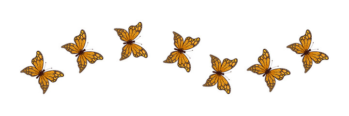Butterflies flying on line route. Beauty colorful insects with open wings set. Vector isolated on white background.