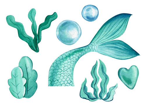 Mermaid tail, bubbles, algae on an isolated white background. Watercolor drawing