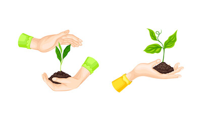 Human hands holding soil sprouts. Organic farming and environment protection vector illustration