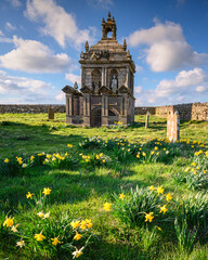 Daffodils in churchyard of St Andrew, situated on Greymare Hilltop in the Dark Skies section of the...
