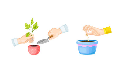 Hands planting small sprout and seed in pot. Organic agriculture, environment protection vector illustration