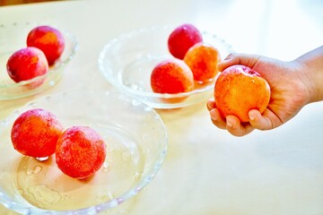 子どもが手に持つハニーローザという名前のすもも