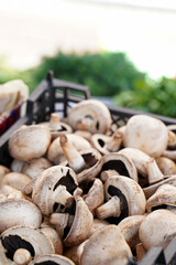 mushrooms and champignons are stacked in a box