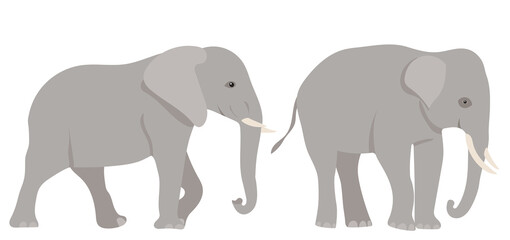 elephant flat design, isolated on white background, vector