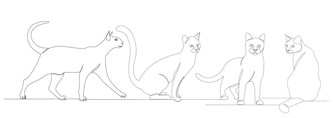 cats continuous line drawing, sketch, vector