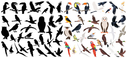 set of bird silhouette, on white background, isolated, vector