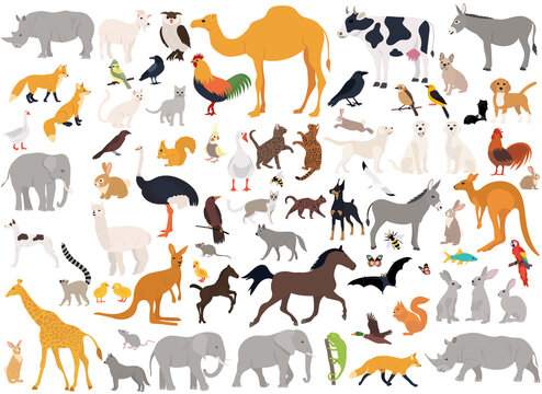 set of animals flat design , isolated on white background, vector