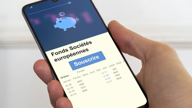 Souscrire &agrave; un fonds fse, demander &agrave; b&eacute;n&eacute;ficier d'un dispositif de r&eacute;duction l'imp&ocirc;t.  D&eacute;fiscalisation fse fonds soci&eacute;t&eacute;s europ&eacute;ennes FSE