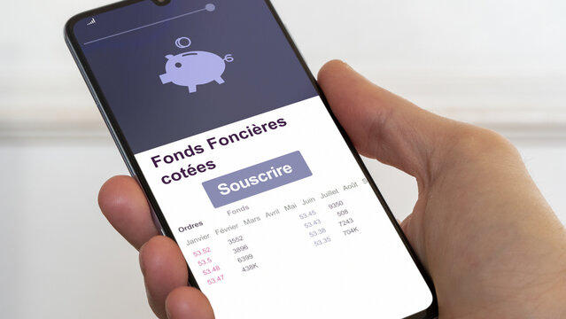 Souscrire &agrave; un fonds fonci&egrave;res cot&eacute;es, demander &agrave; b&eacute;n&eacute;ficier d'un dispositif de r&eacute;duction l'imp&ocirc;t.  D&eacute;fiscalisation par placement &agrave; risque.