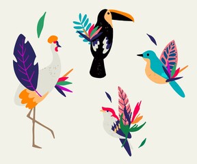 Сomposition of exotic leaves, flowers, birds. Isolated on white background. Decorative bouquet with tropical birds and leaves.